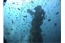 Phi Phi Scuba Wreck Diving