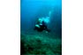 Diver